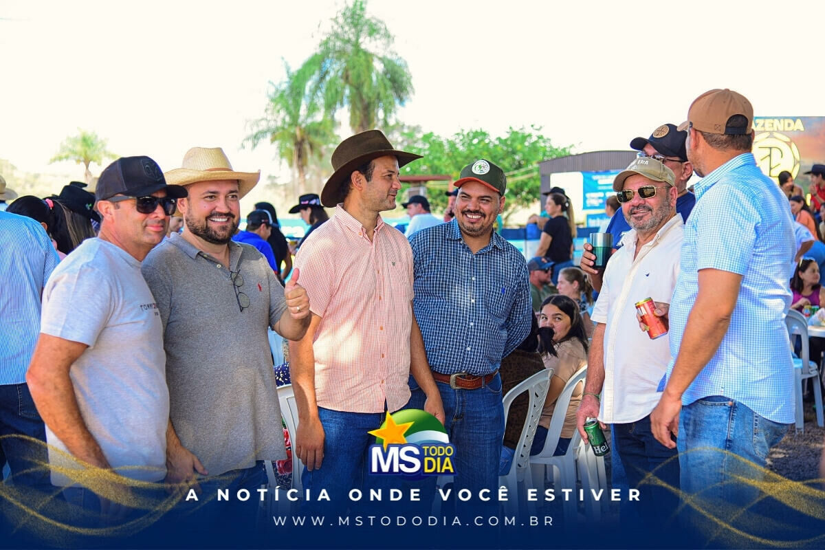 Imagem da Galeria